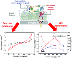 Graphical abstract: Performance evaluation of enzymatic biofuel cells using a new cathodic catalyst containing hemin and poly acrylic acid promoting the oxygen reduction reaction