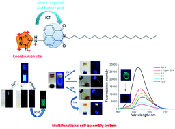Graphical abstract: Multifunctional fluorescent naphthalimide self-assembly system for the detection of Cu2+ and K+ and continuous sensing of organic amines and gaseous acids