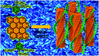 Graphical abstract: Synthesis and helical supramolecular organization of discotic liquid crystalline dibenzo[hi,st]ovalene