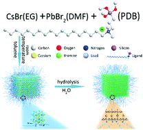 Graphical abstract: Branched capping ligands improve the stability of cesium lead halide (CsPbBr3) perovskite quantum dots