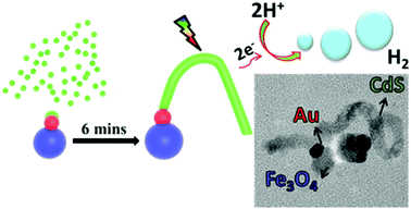 Graphical abstract: Synthesis of magnetically separable Fe3O4–Au–CdS kinked heterotrimers incorporating plasmonic and semiconducting functionalities