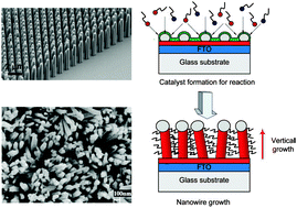 Graphical abstract: Wet chemical growth of semiconductor 1-D nanostructure arrays on conductive substrates