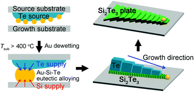 Graphical abstract: Au-Assisted catalytic growth of Si2Te3 plates