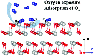 Graphical abstract: Oxygen adsorption and its influence on the thermoelectric performance of polycrystalline SnSe