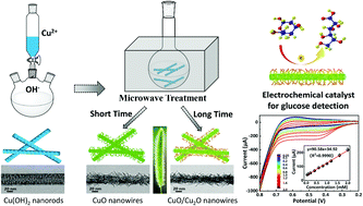 Graphical abstract: Controllable synthesis of barnyardgrass-like CuO/Cu2O heterostructure nanowires for highly sensitive non-enzymatic glucose sensors