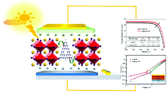 Graphical abstract: Iodine-doped graphite carbon nitride for enhancing photovoltaic device performance via passivation trap states of triple cation perovskite films