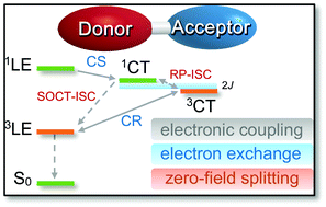 Graphical abstract: Charge separation, charge recombination, long-lived charge transfer state formation and intersystem crossing in organic electron donor/acceptor dyads