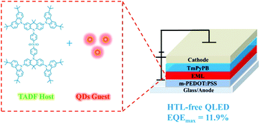 Graphical abstract: Photophysics and electroluminescence of red quantum dots diluted in a thermally activated delayed fluorescence host