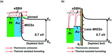 Graphical abstract: Improved switching characteristics of p-type tin monoxide field-effect transistors through Schottky energy barrier engineering