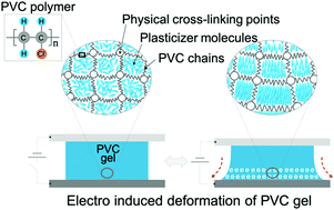Graphical abstract: Recent advances in plasticized PVC gels for soft actuators and devices: a review