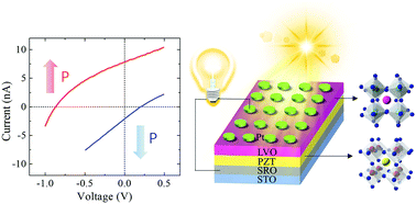 Graphical abstract: Enhanced photovoltaic efficiency and persisted photoresponse switchability in LaVO3/Pb(Zr0.2Ti0.8)O3 perovskite heterostructures