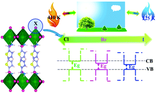 Graphical abstract: Phase transition, optical and dielectric properties regulated by anion-substitution in a homologous series of 2D hybrid organic–inorganic perovskites