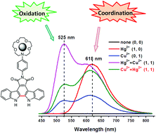 Graphical abstract: Metal ion-induced coordination and cyclization of crown ether-based bisindolylmaleimides: different fluorescence responses and applications in complex logical operations