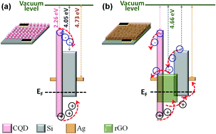 Graphical abstract: Engineering carbon quantum dots for enhancing the broadband photoresponse in a silicon process-line compatible photodetector