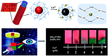 Graphical abstract: Ultrafast, sensitive and visual sensing of copper ions by a dual-fluorescent film based on quantum dots