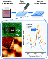 Graphical abstract: Ambient atmosphere laser-induced local ripening of MoS2 nanoparticles