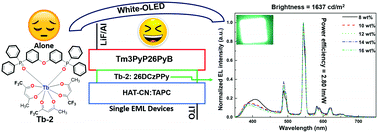 Graphical abstract: A single component white electroluminescent device fabricated from a metallo-organic terbium complex