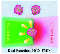 Graphical abstract: Fluorescent microdiamonds conjugated with hollow gold nanoparticles as photothermal fiducial markers in tissue