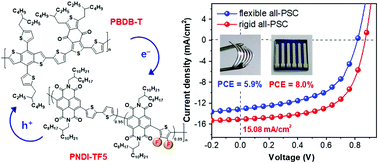 Graphical abstract: Synergistic effects of copolymerization and fluorination on acceptor polymers for efficient and stable all-polymer solar cells
