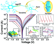 Graphical abstract: Interface-engineered reliable HfO2-based RRAM for synaptic simulation