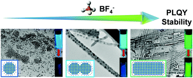 Graphical abstract: In situ tetrafluoroborate-modified MAPbBr3 nanocrystals showing high photoluminescence, stability and self-assembly behavior