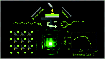 Graphical abstract: Surfacial ligand management of a perovskite film for efficient and stable light-emitting diodes