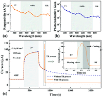 Graphical abstract: High gain broadband photoconductor based on amorphous Ga2O3 and suppression of persistent photoconductivity
