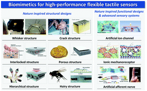 Graphical abstract: Biomimetics for high-performance flexible tactile sensors and advanced artificial sensory systems