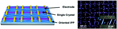 Graphical abstract: Preparation of highly oriented single crystal arrays of C8-BTBT by epitaxial growth on oriented isotactic polypropylene