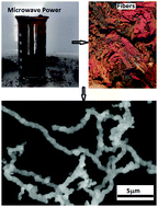 Graphical abstract: Microwave-assisted synthesis and characterization of iron oxide microfibers