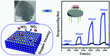 Graphical abstract: Oxygen vacancy engineering of self-doped SnO2−x nanocrystals for ultrasensitive NO2 detection