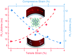Graphical abstract: Balanced strain-dependent carrier dynamics in flexible organic–inorganic hybrid perovskites
