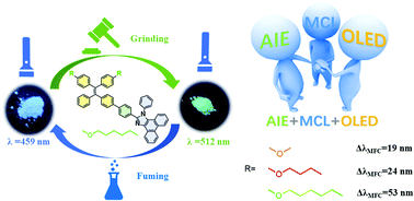 Graphical abstract: Alkoxy chain regulated stimuli-responsive AIE luminogens based on tetraphenylethylene substituted phenanthroimidazoles and non-doped OLEDs with negligible efficiency roll-off