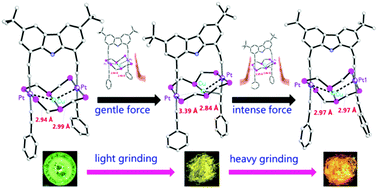 Graphical abstract: Two-step phosphorescent mechanochromism due to intramolecular deformation