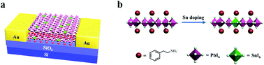 Graphical abstract: Detection range extended 2D Ruddlesden–Popper perovskite photodetectors