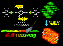 Graphical abstract: Structure-tuned and thermodynamically controlled mechanochromic self-recovery of AIE-active Au(i) complexes