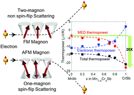 Graphical abstract: Magnon-drag thermopower in antiferromagnets versus ferromagnets