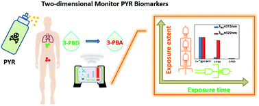 Graphical abstract: A dual-functional intelligent logic detector based on new Ln-MOFs: first visual logical probe for the two-dimensional monitoring of pyrethroid biomarkers