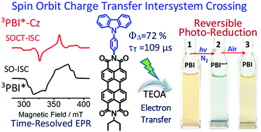 Graphical abstract: Carbazole-perylenebisimide electron donor/acceptor dyads showing efficient spin orbit charge transfer intersystem crossing (SOCT-ISC) and photo-driven intermolecular electron transfer