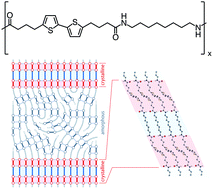 Graphical abstract: Engineering polymers with improved charge transport properties from bithiophene-containing polyamides