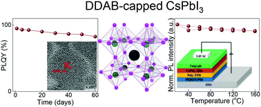 Graphical abstract: DDAB-assisted synthesis of iodine-rich CsPbI3 perovskite nanocrystals with improved stability in multiple environments