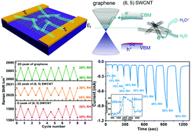 Graphical abstract: Semiconducting single-walled carbon nanotube/graphene van der Waals junctions for highly sensitive all-carbon hybrid humidity sensors