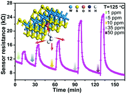 Graphical abstract: Tungsten oxysulfide nanosheets for highly sensitive and selective NH3 sensing