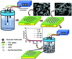 Graphical abstract: Non-enzymatic electrochemical glucose sensors based on polyaniline/reduced-graphene-oxide nanocomposites functionalized with silver nanoparticles