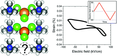Graphical abstract: Super-coercive electric field hysteresis in ferroelectric plastic crystal tetramethylammonium bromotrichloroferrate(iii)