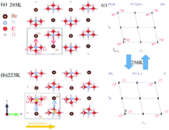 Graphical abstract: Ferroelectricity of trimethylammonium bromide below room temperature