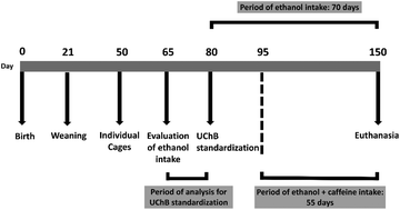 Graphical abstract: Serum miRNAs are differentially altered by ethanol and caffeine consumption in rats