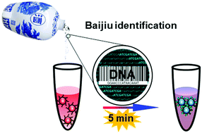 Graphical abstract: Accelerated non-crosslinking assembly of DNA-functionalized nanoparticles in alcoholic solvents: for application in the identification of clear liquors