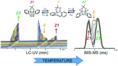 Graphical abstract: Kinetic study of azobenzene E/Z isomerization using ion mobility-mass spectrometry and liquid chromatography-UV detection