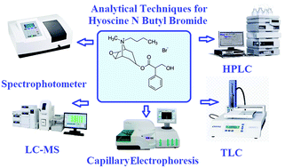 Graphical abstract: Analytical review: analytical techniques for hyoscine N butyl bromide